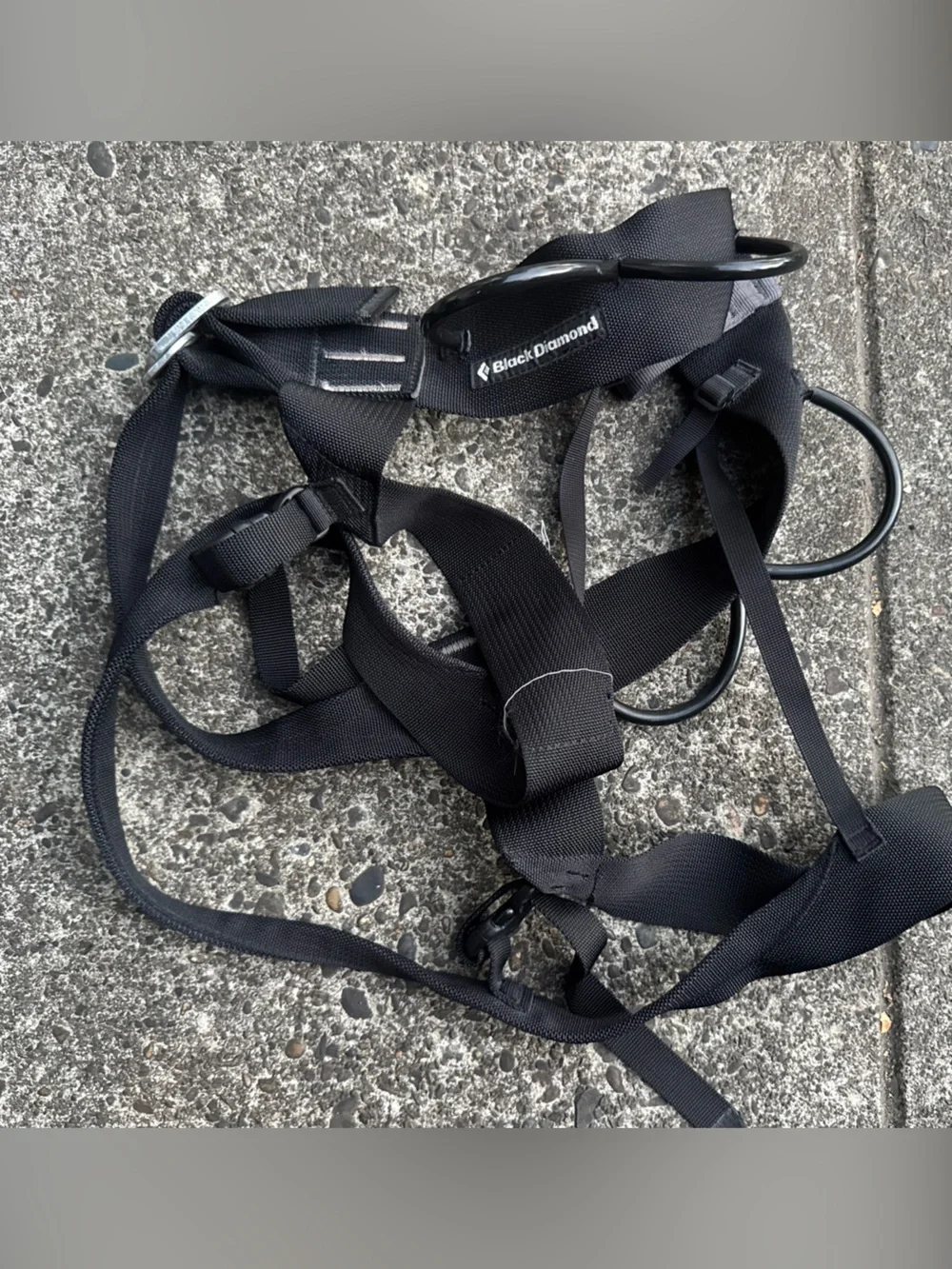 Black Diamond  Alpine Body Harness Black Size Medium